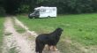 Mercedes Hymer 2014